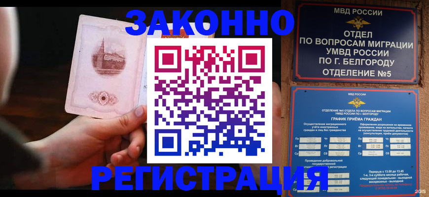 прописка 2025 в Светогорске